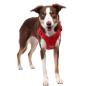 Preview: DOOG Neotech Harness Red Gr. S